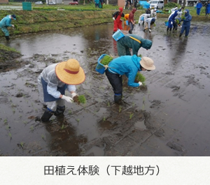 写真:田植え体験(下越地方)